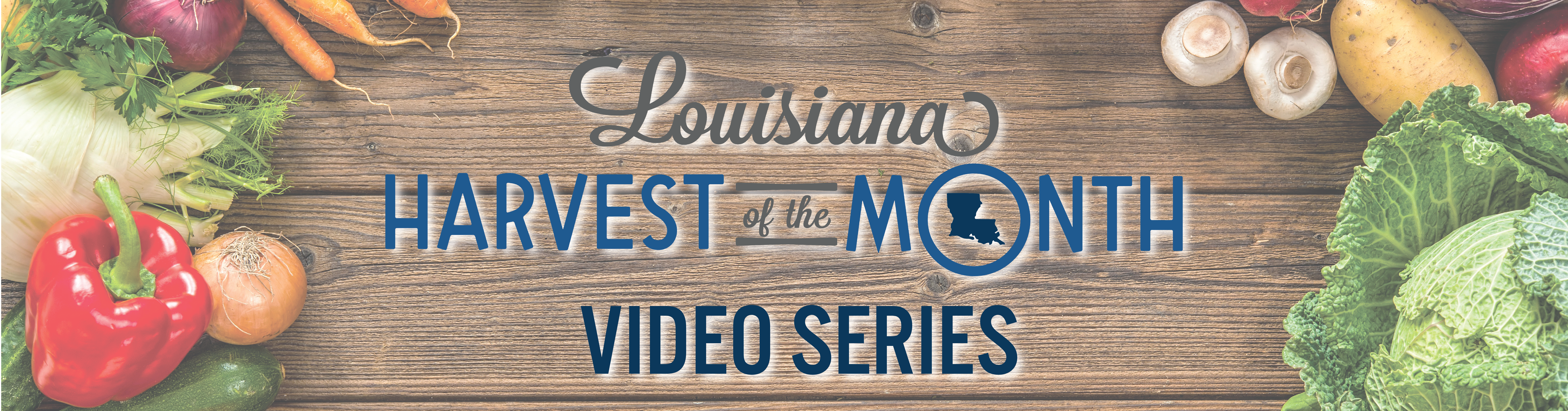 Video Banners-04png